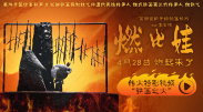 国a精品视频大全